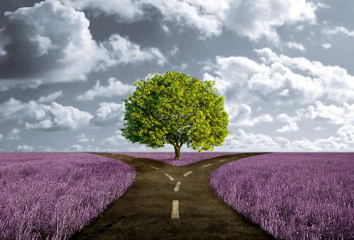 10.老白头的母亲哭了她的门，并保持她的衬衫袖子打开。 〖唐〗韩瑜