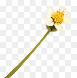 11.您的家乡在哪里？算了，除非你喝醉了。