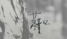 关于堕落的语录