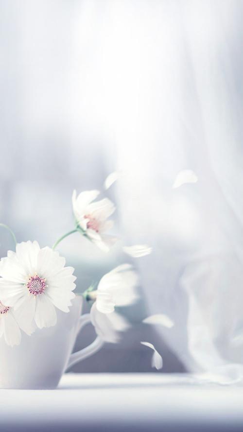 12.西蒙妈妈，选择一个邻居。如果您不学习，将会被切断。