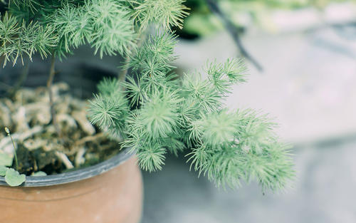 12.您的手臂是如此温暖，您已经习惯于靠左心房入睡。