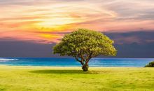 亲情母爱的句子说说心情