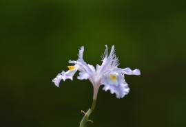 9.我一直真诚地对待你，但你从来没有把我当作亲戚！面对金钱，家庭的感情是一文不值的，即使是普通朋友也不如在这个只承认金钱却不承认人的社会中好。我发现我越来越虚伪了！