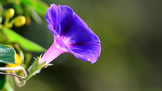 10.家庭感情已经开始用金钱来衡量，那么爱情和友谊又如何呢？