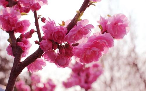 11.生活中有一些值得信赖的事物：感情，家庭，友谊，金钱；但是我们经常选择现实。