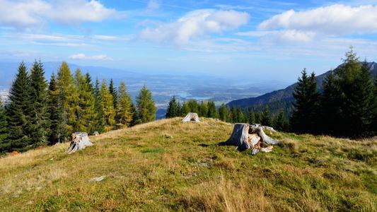 11.家庭之情是黎明时公鸡的啼哭，唤醒了原本沉睡的大地。