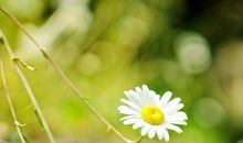 现实又很扎心的句子亲情