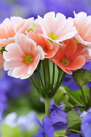 11.花一些时间清楚地看到一些东西。有了一些东西，您将永远看到一些人。无论感情，友谊和家庭如何，它们都很脆弱。一旦出现裂纹，就很难恢复其原始外观。不管是谁，对不起，裂缝就像是两边的刀片，一侧伤害他人，另一侧伤害自己。我们年轻时无法理解某些事情。当我们了解时，我们不再年轻。世界上有些东西可以弥补永远无法弥补的东西。