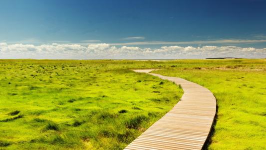 10.在儿子的口和心中，母亲是上帝。 （英国）