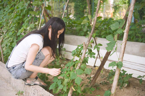 QQ心情谈大全与图片