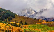 思念亲情的句子说说心情短语