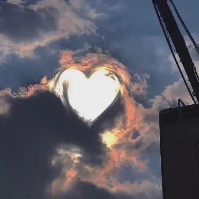 10.家庭的感情，就像秋天的阳光一样，总能在凄凉的风雨中温暖失丧者的心。