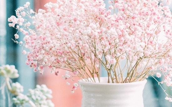 12.我们不应该寻求各种幸福，我们应该只寻求高尚的幸福