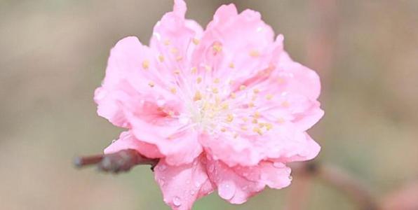 10.这时我后悔结婚，后悔有孩子，而我的选择确实错误。有人说结婚是女人的第二次轮回。我仍然迷失了命运。