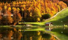 关于健康亲情的句子