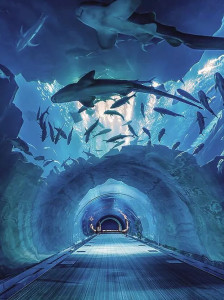 12.有时候父母的爱会使我独自哭泣。当然，眼泪是真诚而纯洁的。但是有时战争的火焰即将爆发。