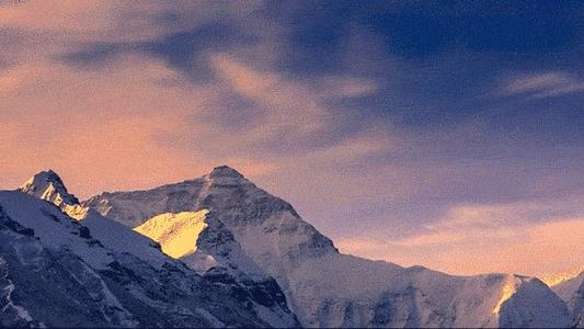 12.我们依靠家庭的感情，例如瓜藤与竹节或篱笆缠绕在一起；