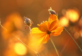 10.家庭感情是一种严厉的惩罚，敦促我们纠正错误。