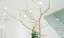 心情要开心的句子说说