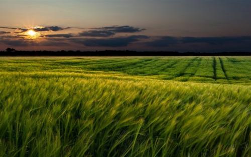 10.只要生气一分钟，就会失去60秒的快乐。