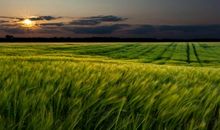 表达人很开心的句子