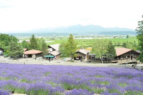 11.幸福在哪里？实际上，幸福就在我们手中。如果努力工作，您将收获一片蓝天。