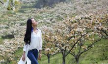 关于青春的座右铭