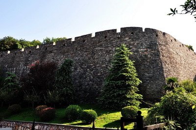 11.人们在竞技场上行走时，必须在应采取行动时采取行动；不要回首过去，不要屈服于痛苦；面对高大的建筑物，勇敢地大喊：我是我的对手！朋友们，让我们一起欢呼吧。