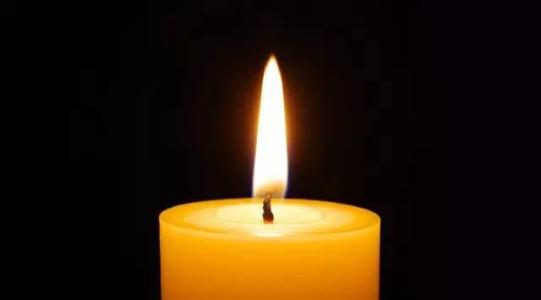 11.他要去另一个地方完成他的任务，我们应该祝福他。因为他与大自然紧密联系。每天快乐是最好的。