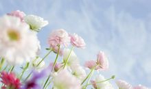 骨肉亲情得到的句子