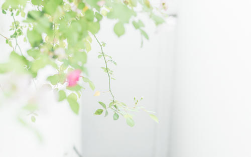 11.生活中最大的哭泣是当我们周围有家庭之爱时，但我不知道该如何珍惜和后悔。