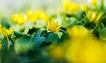 亲情之间最寒心最无助的句子