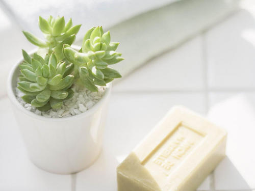 10.让幸福的花朵在母亲的照顾下，源于母亲无私无尽的爱！