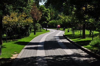 10.早晨打开窗户，拥抱阳光，感受自然的笑容。晚上散散步，聊功课，品尝日常乐趣。下午好，祝您有美好的一天！