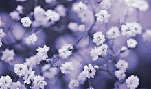 亲情重要性的句子