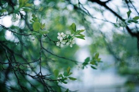 11.谁曾说过有爱就不会受到伤害；曾经说过有爱的人不会分离。我只知道当我想到这些话时，会很痛。