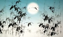 描写月下的句子