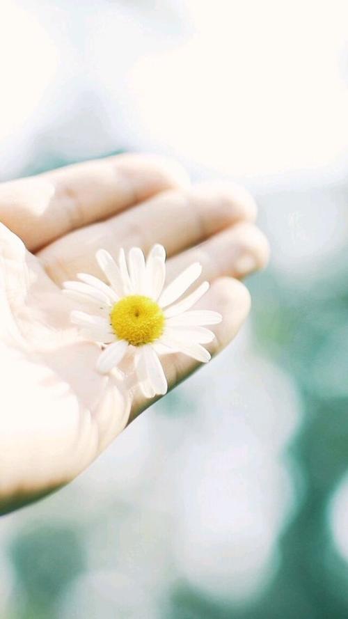 10.如果部长没有祖母，那就没有今天的事了。如果祖母没有牧师，那么多年没有生命。祖父和孙子的命运更加重要。