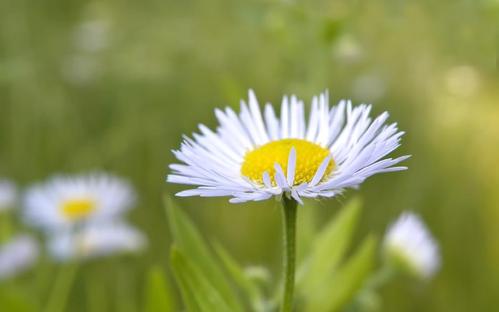 10.江左青螺带，山似玉hair。