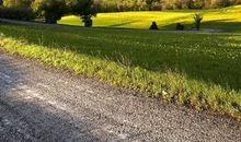 亲情话的句子大全