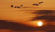 希望你别后悔意思句子