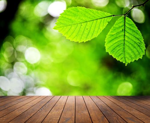 12.亲情是彩虹在天上飞舞，使焦躁不安的人们欣赏诗意的宁静。