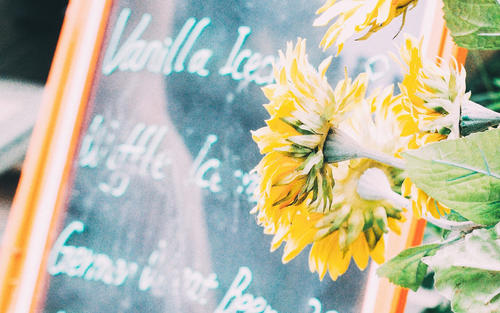 11.还有几个小时的课要上课。这周也是快乐的一周。我遇到了许多新学生。