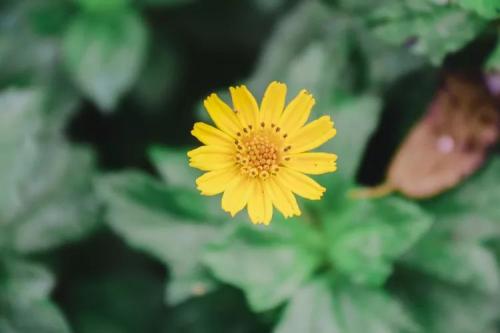 11.谁为谁做的，谁为失败的。