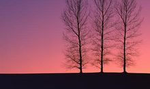 关于亲情的煽情句子说说心情