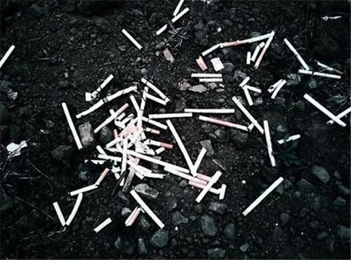 10.没有人分享的幸福绝对不是真正的幸福；没有人分享的痛苦是最可怕的痛苦。