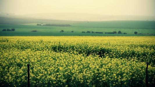 10.家庭情感是在眉毛与期望之间，在我抒情的小歌中，淡淡的微笑。