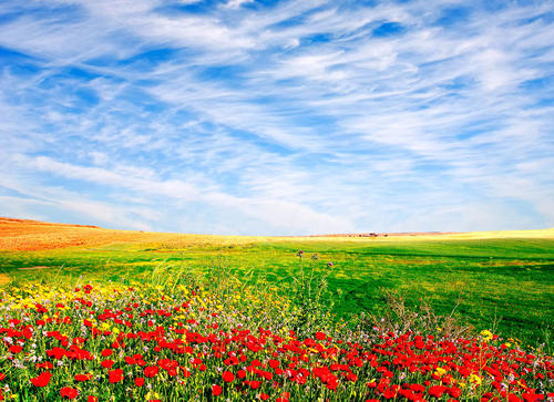 11，家庭感情就像水一样，过滤后复合物变得纯净；