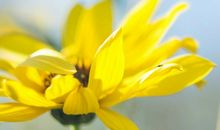 亲情友情都需要经营句子