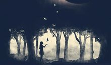 描写月夜的句子